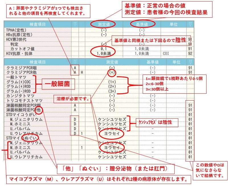 性病 検査 費用